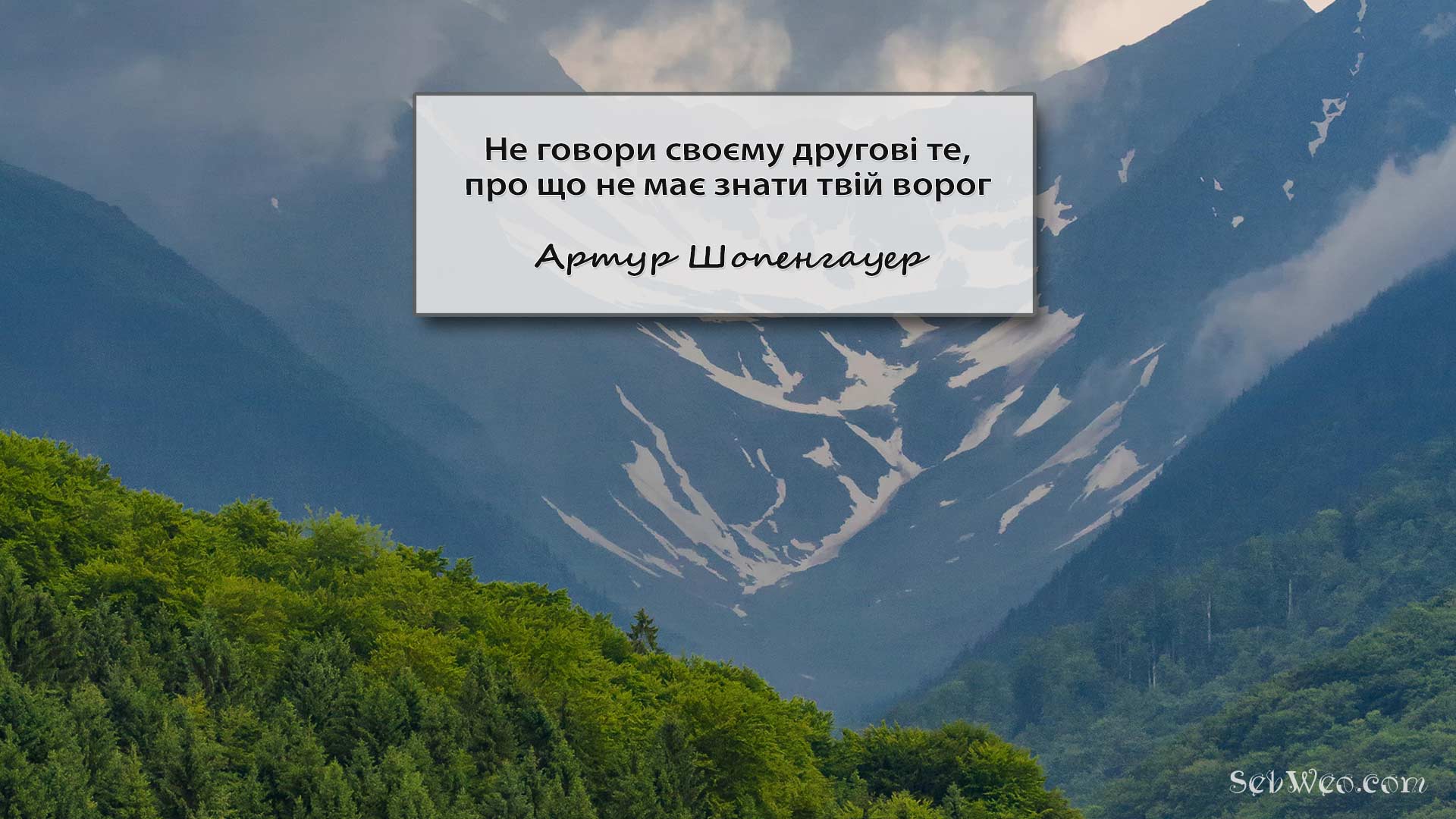 Не говори своєму другові те, про що не має знати твій ворог → Артур Шопенгауер