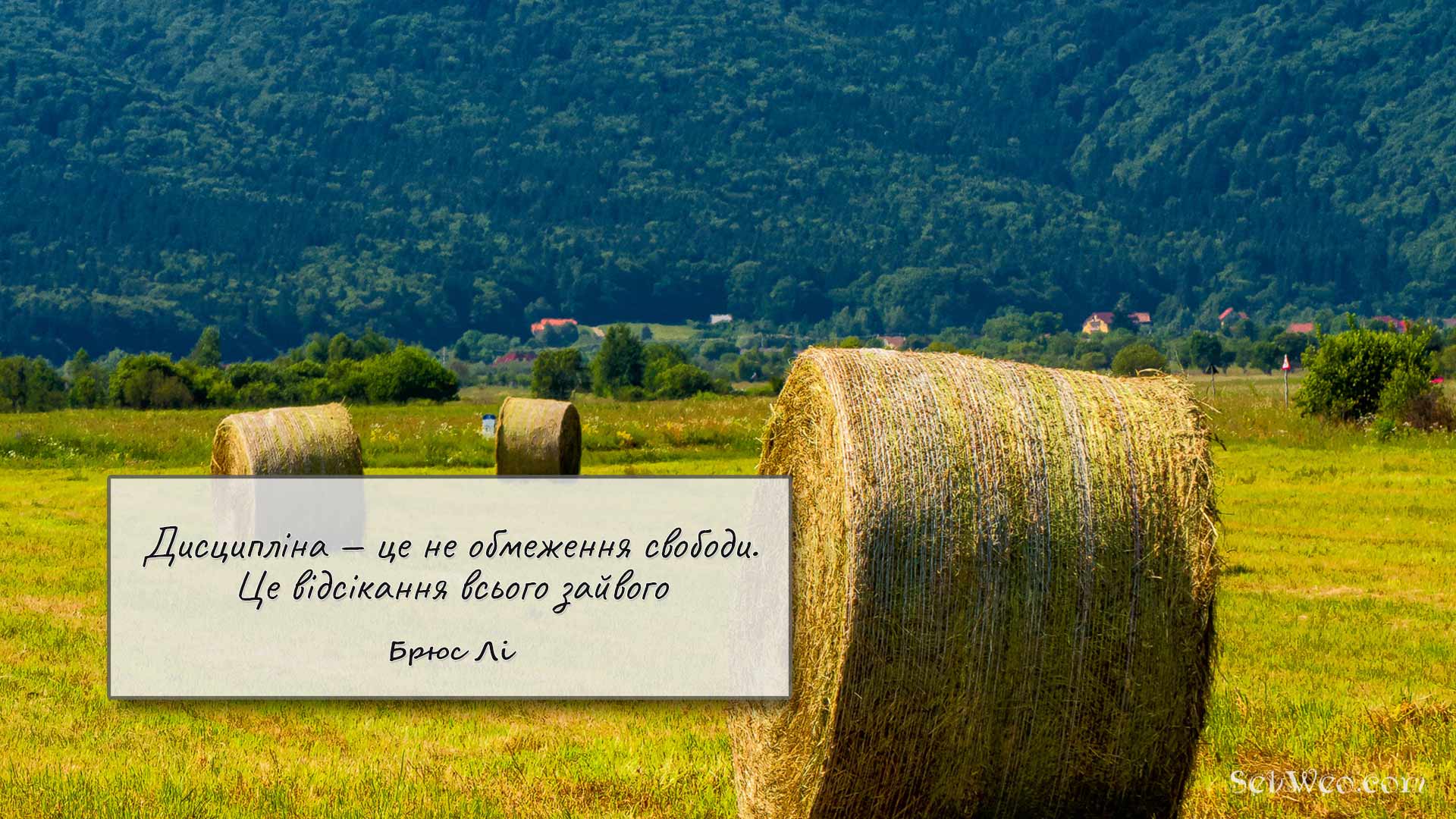 Дисципліна — це не обмеження свободи. Це відсікання всього зайвого → Брюс Лі