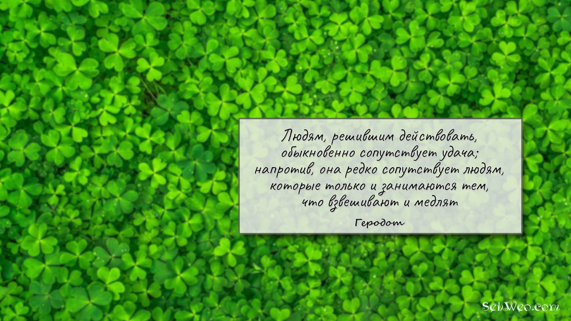 Людям, решившим действовать, обыкновенно сопутствует удача; напротив, она редко сопутствует людям, которые только и занимаются тем, что взвешивают и медлят → Геродот