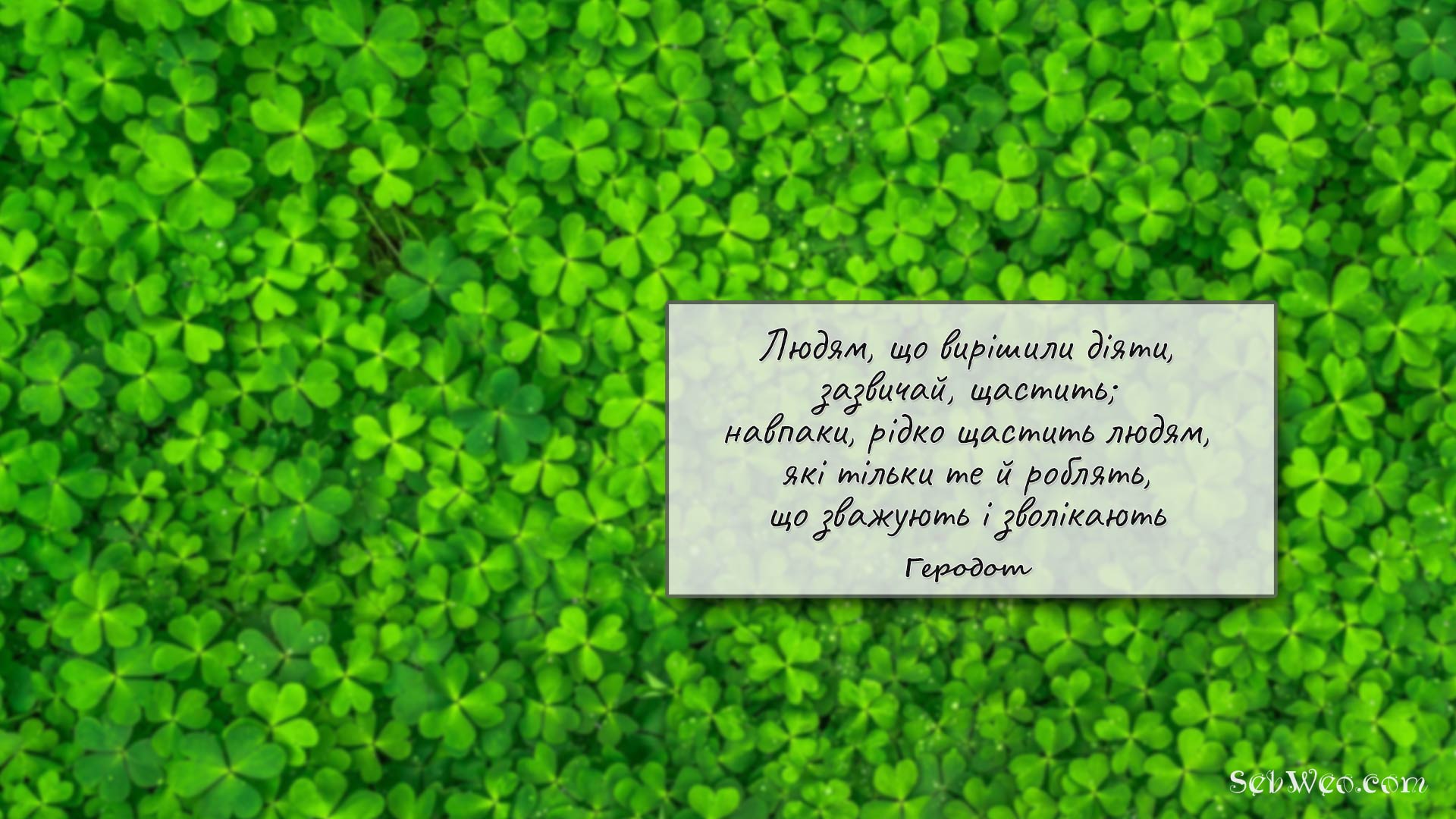 Людям, що вирішили діяти, зазвичай, щастить; навпаки, рідко щастить людям, які тільки те й роблять, що зважують і зволікають → Геродот