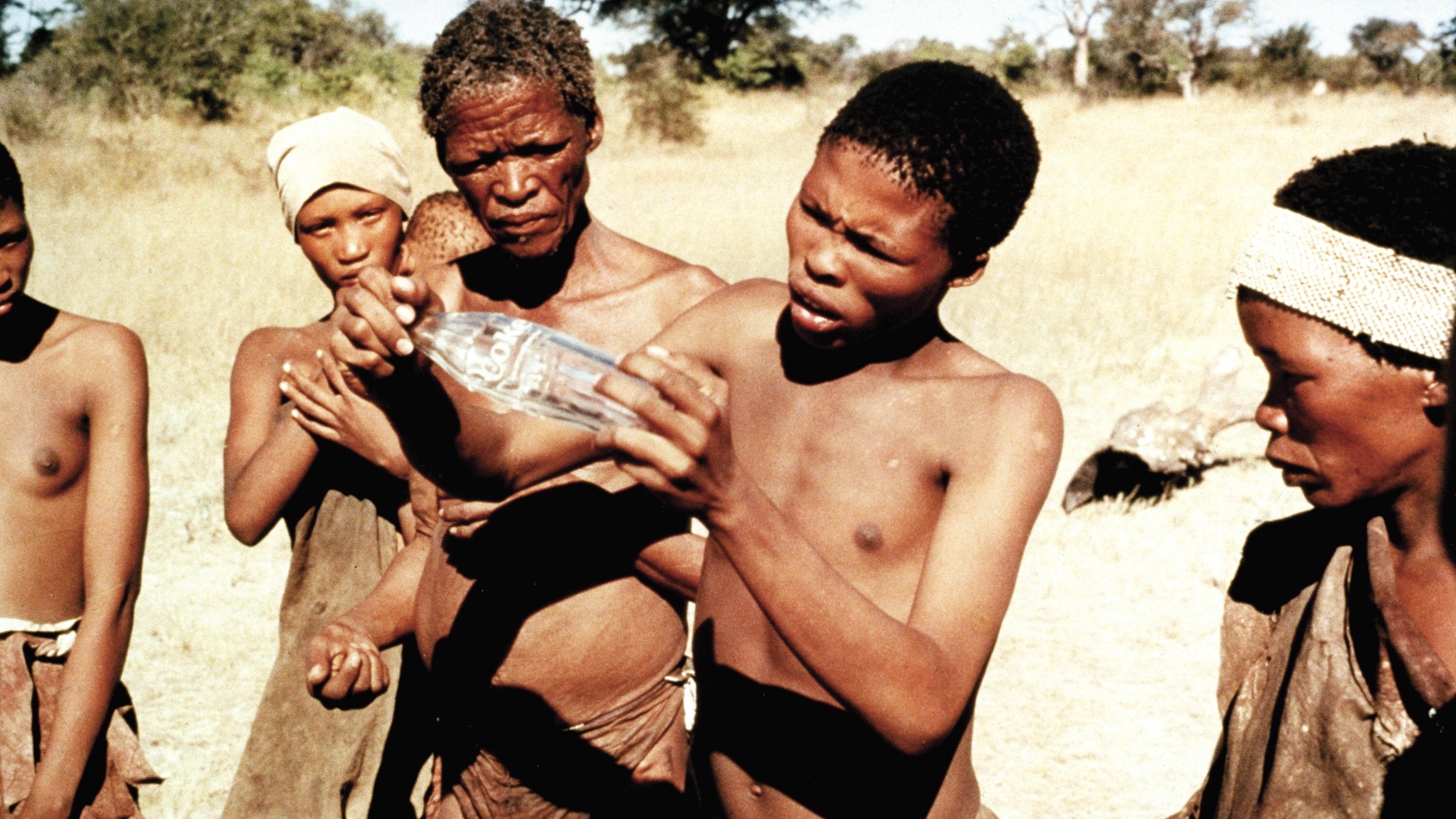 Боги, наверное, сошли с ума