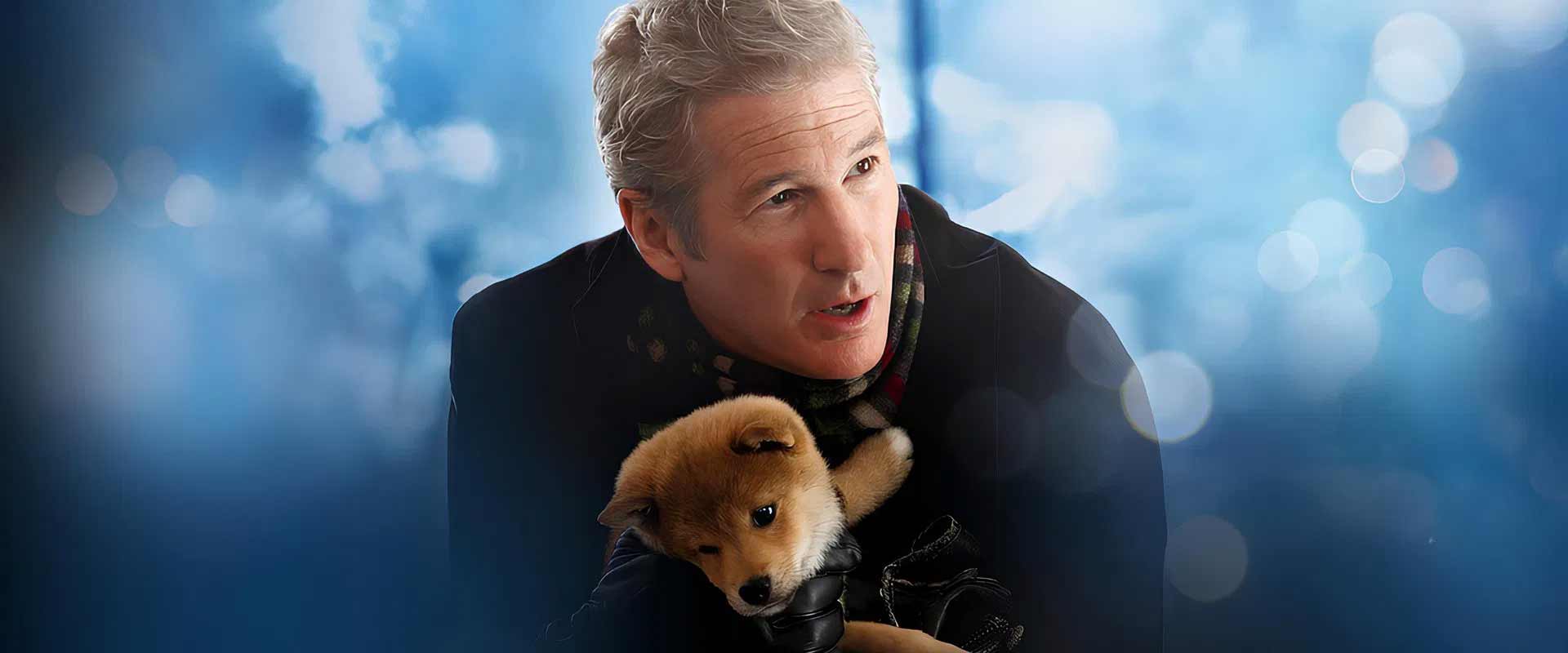 Хатико: Самый верный друг