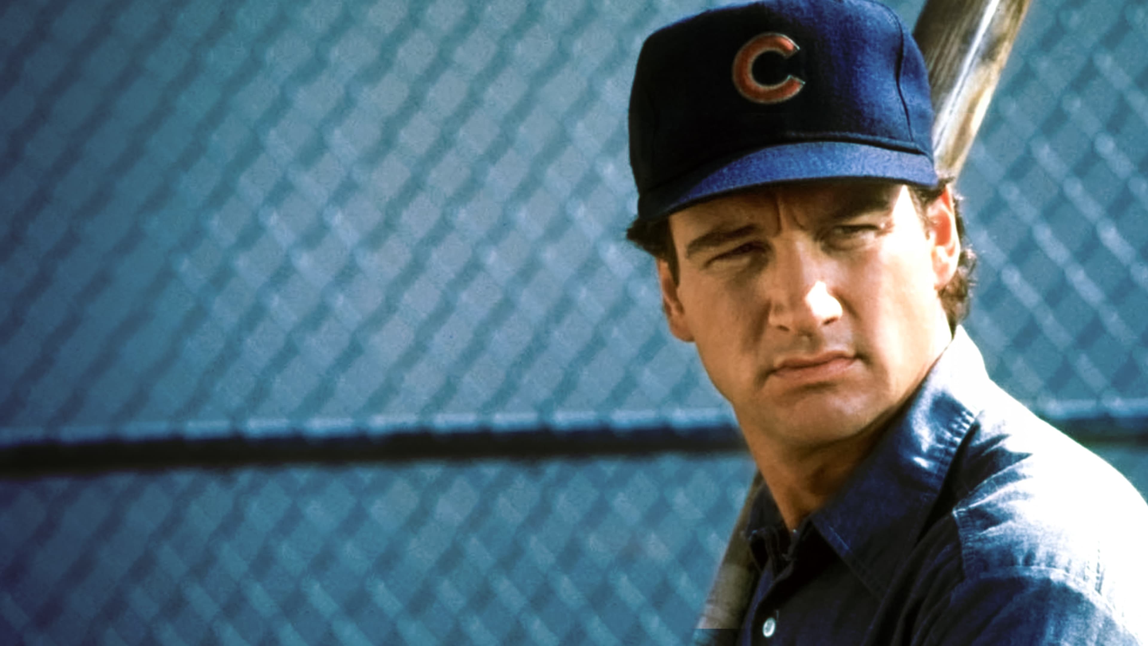 Красивая жизнь