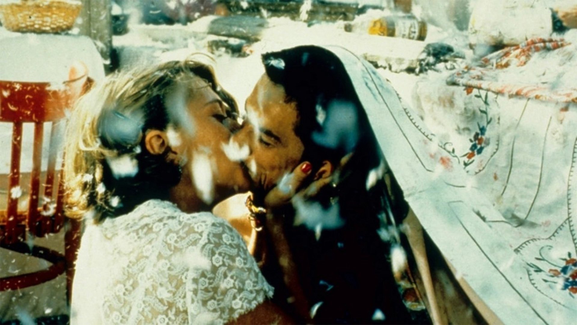 Чорна кішка, білий кіт