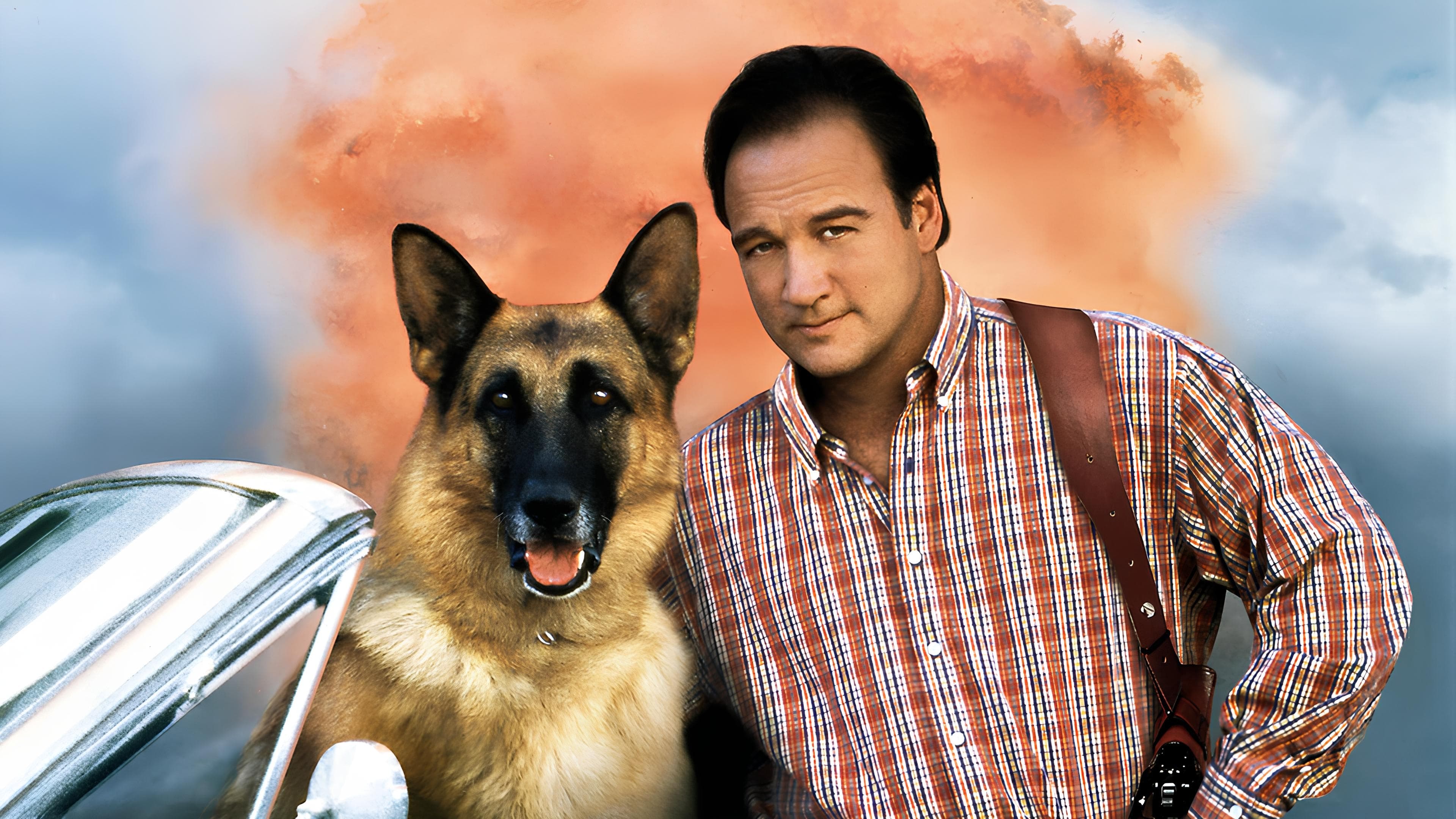 К-911: Собача робота 2