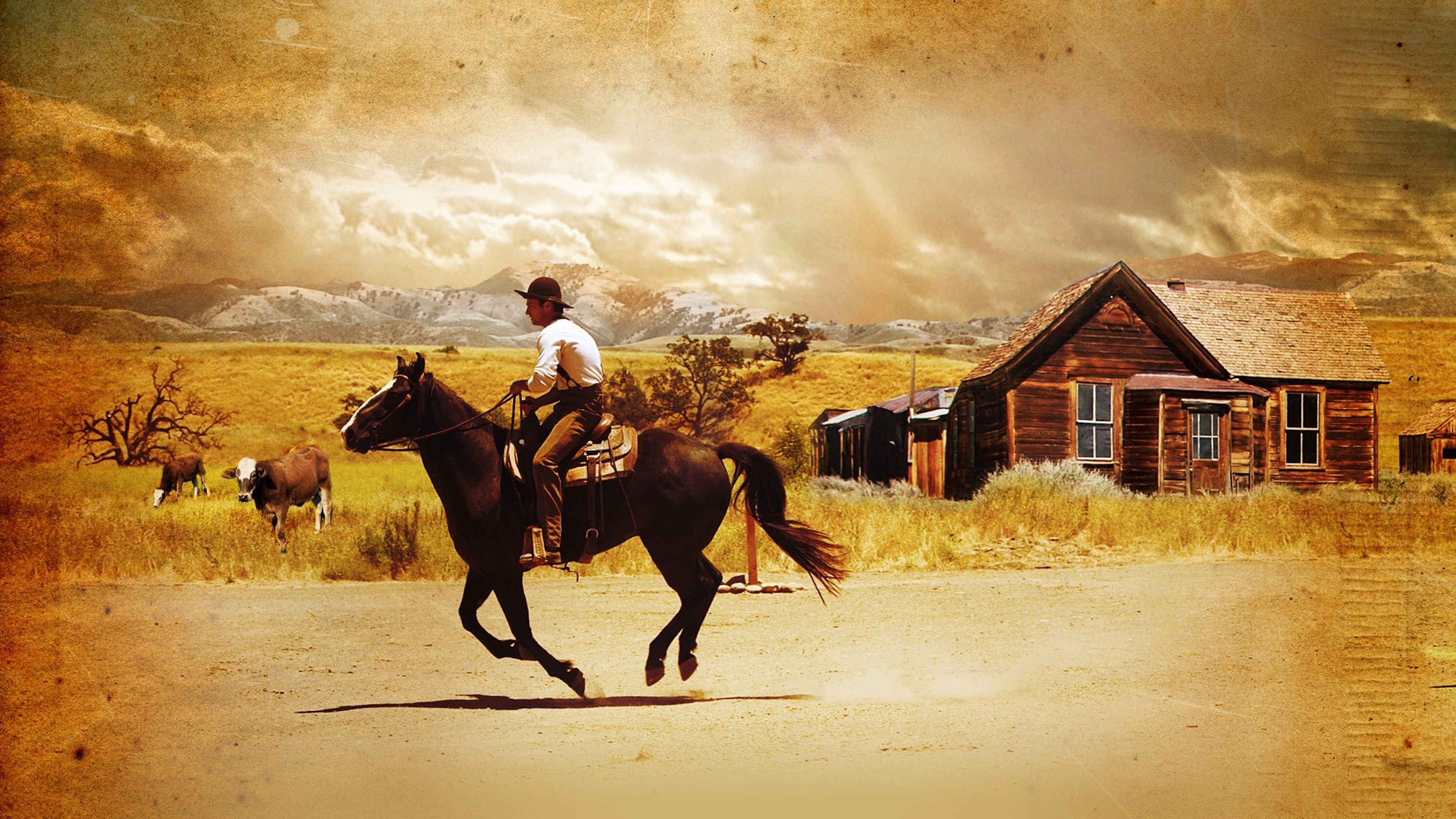 Заповіт кохання