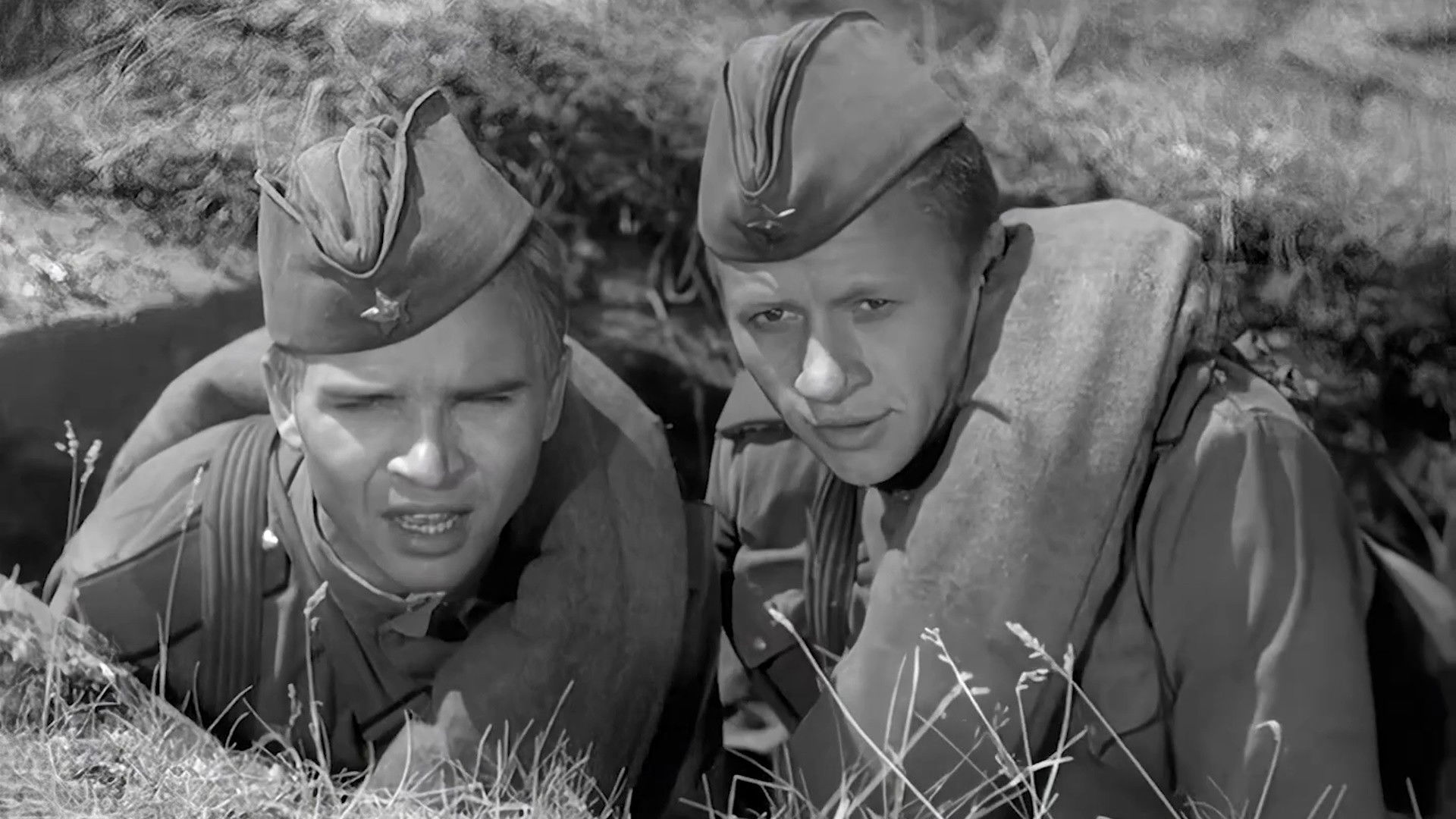 Максим Перепелиця