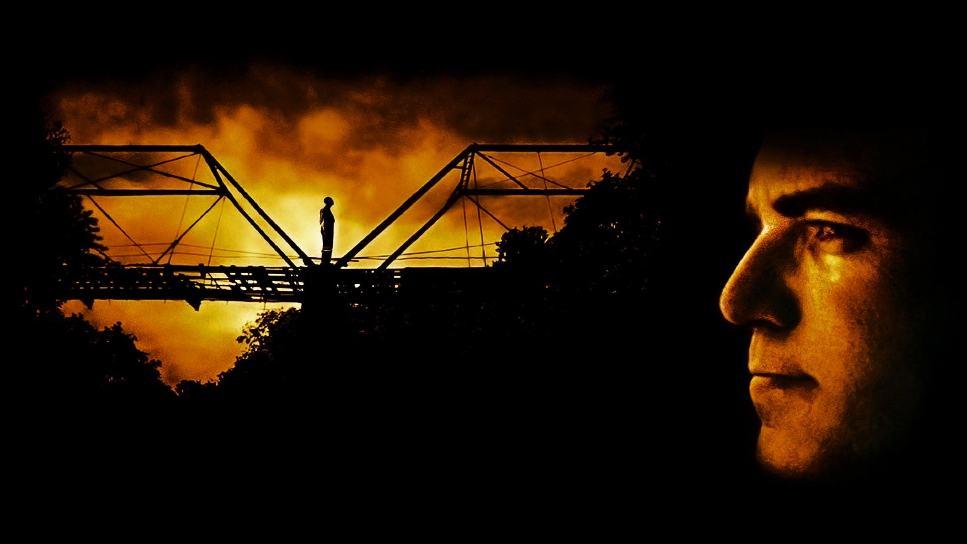 Отточенное лезвие