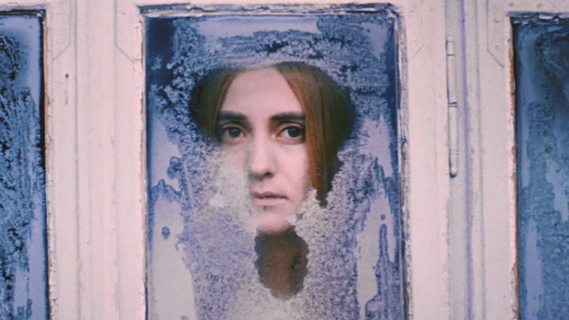 Білий птах з чорною міткою