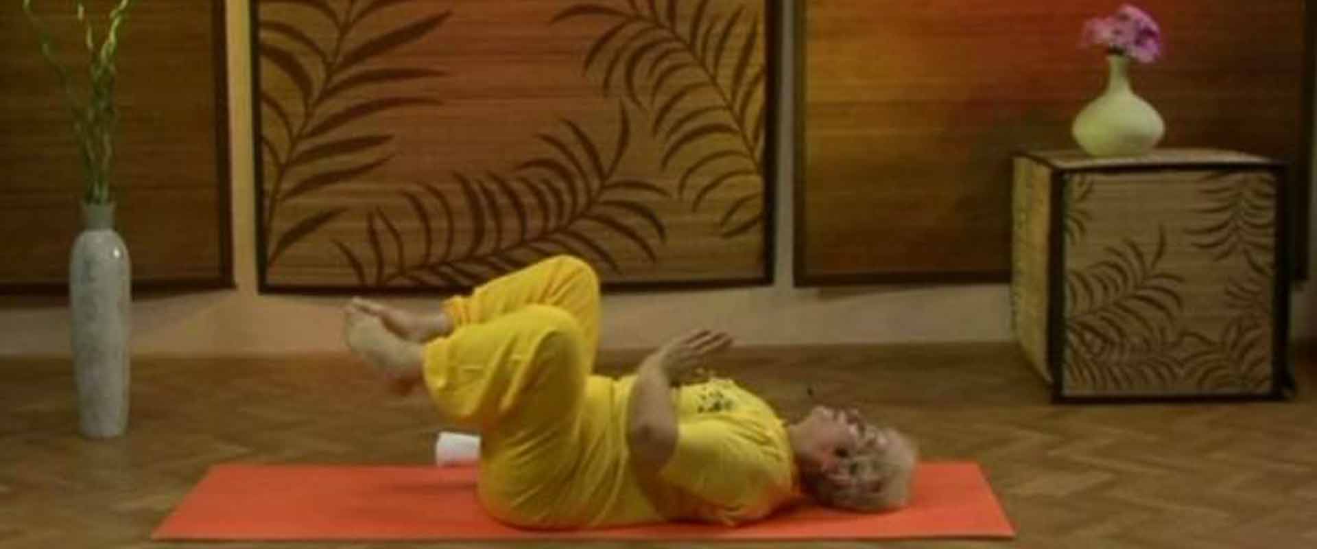 Цигун-терапія. Японська оздоровча система Ніші