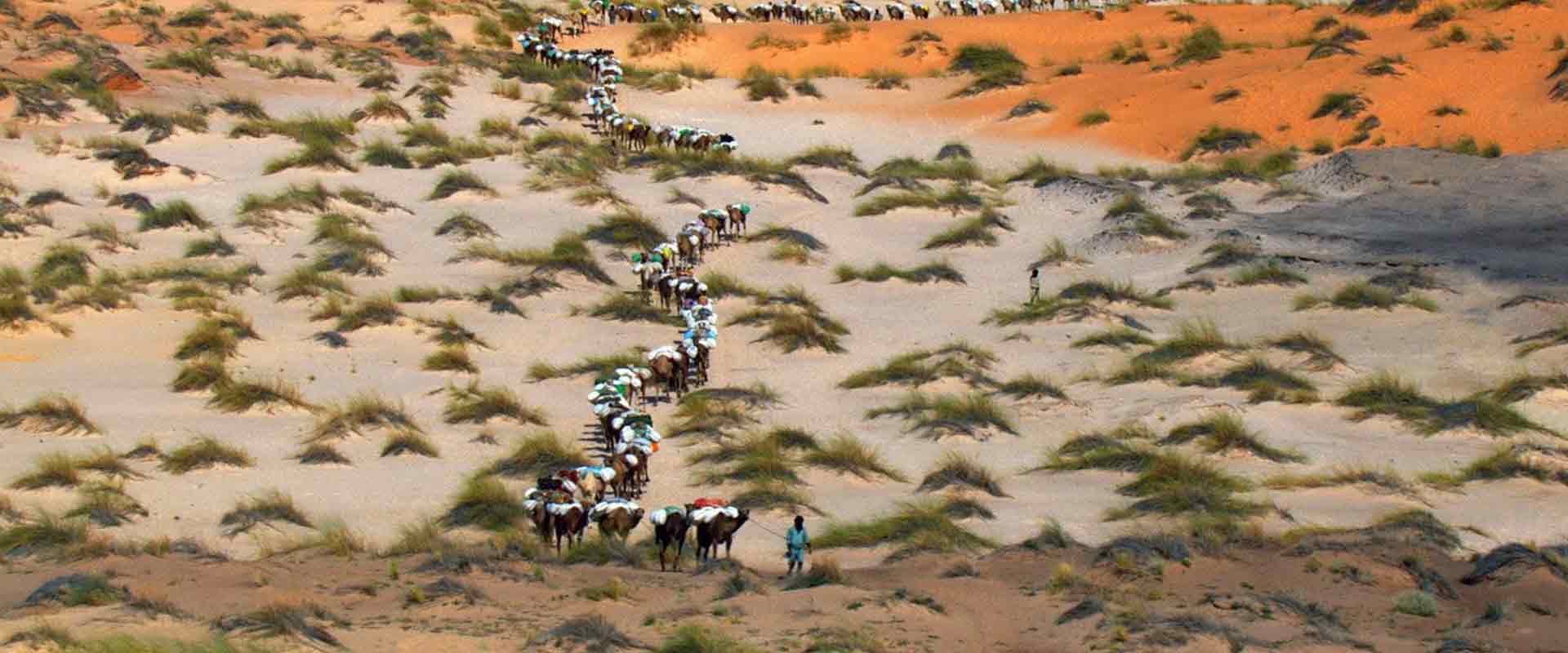 Дім. Історія подорожі