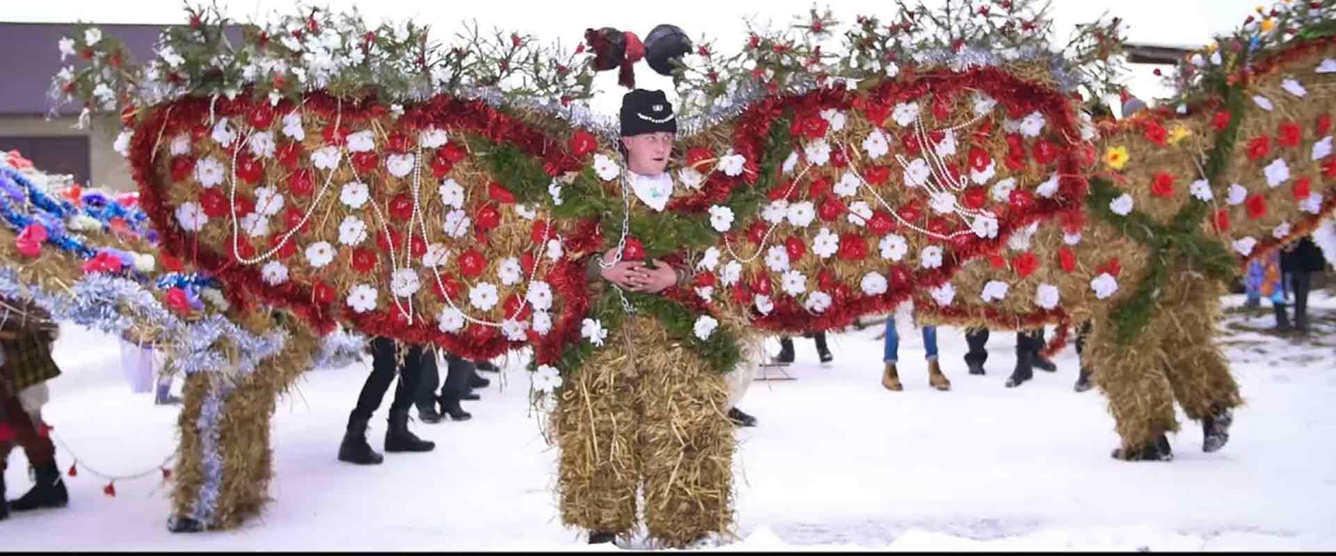 Красна Маланка