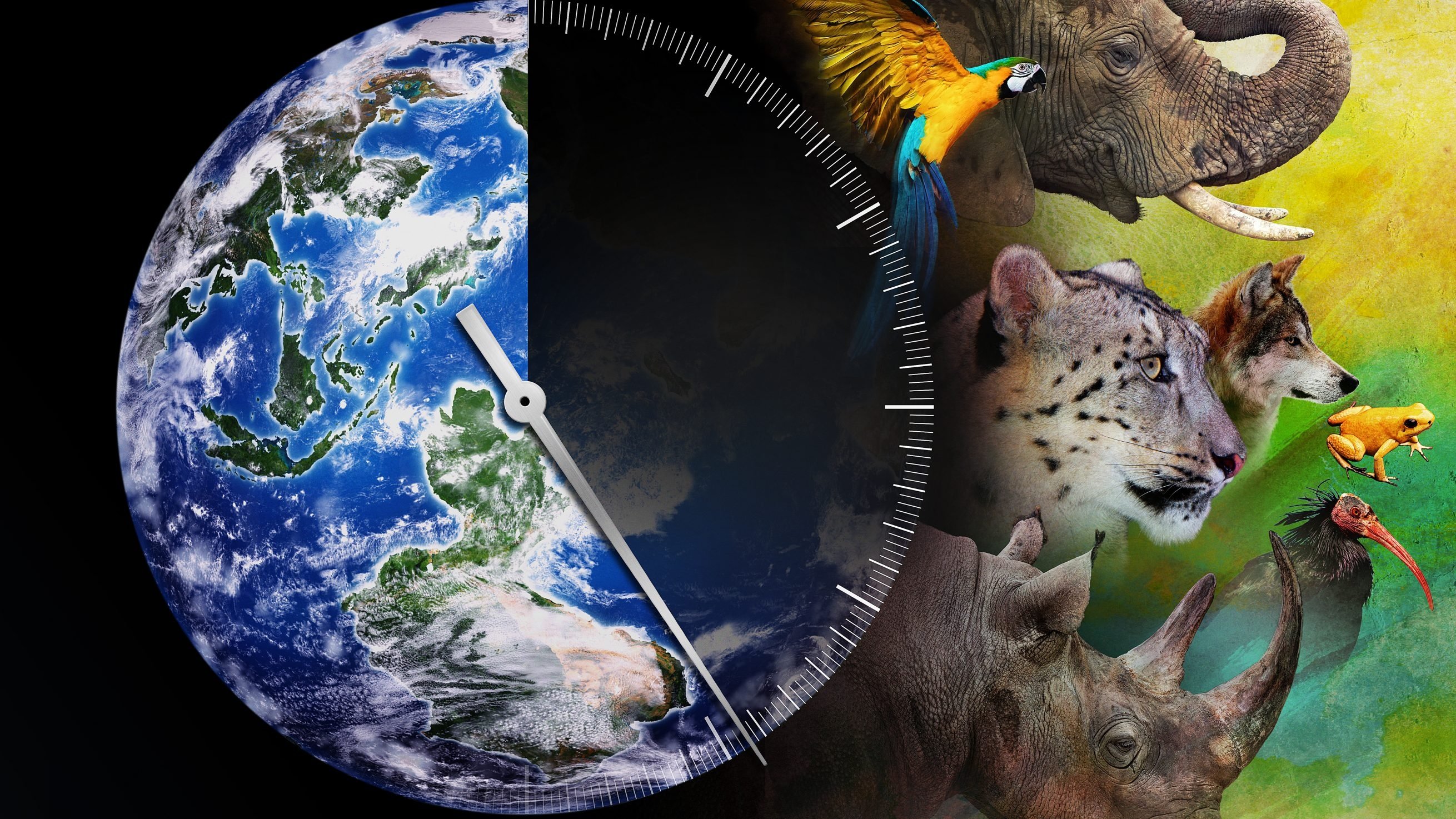 Гонка на вимирання