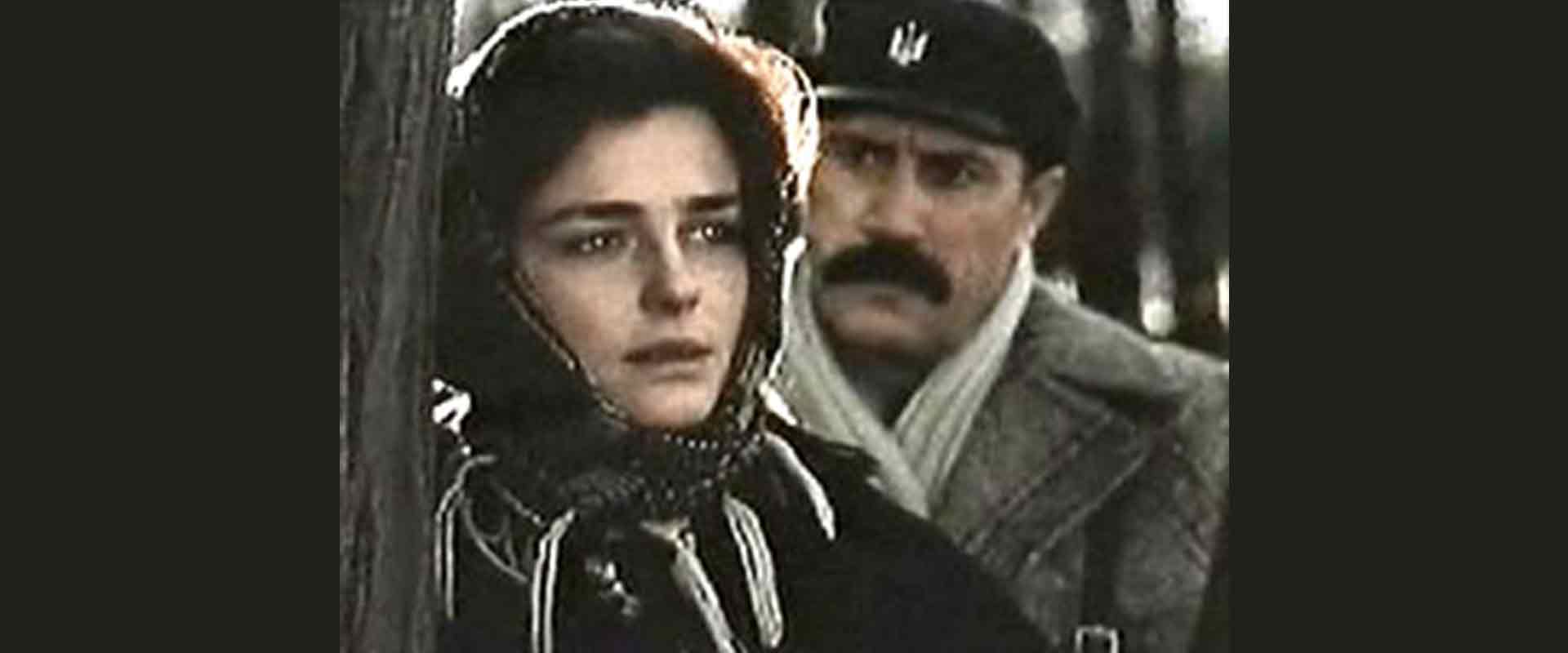 Вишневі ночі