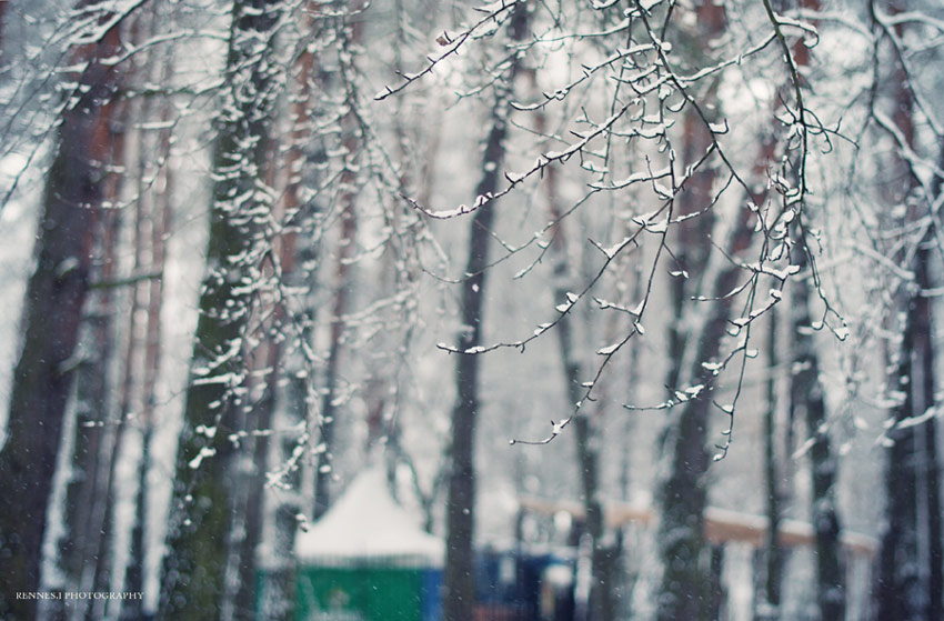 Україна взимку