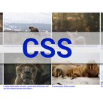 Как добиться адаптивности картинок с помощью CSS