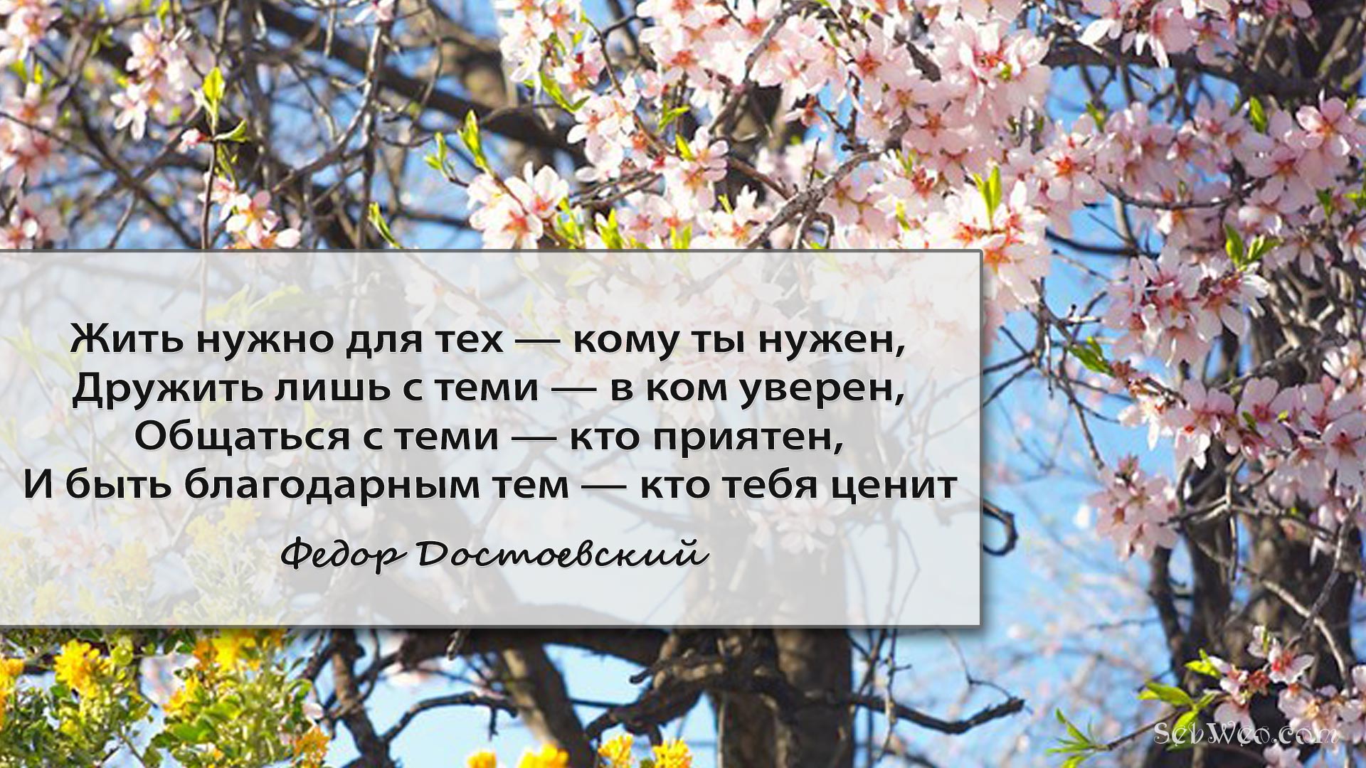 Жить нужно для тех — кому ты нужен, Дружить лишь с теми — в ком уверен, Общаться с теми — кто приятен, И быть благодарным тем — кто тебя ценит -- Федор Достоевский
