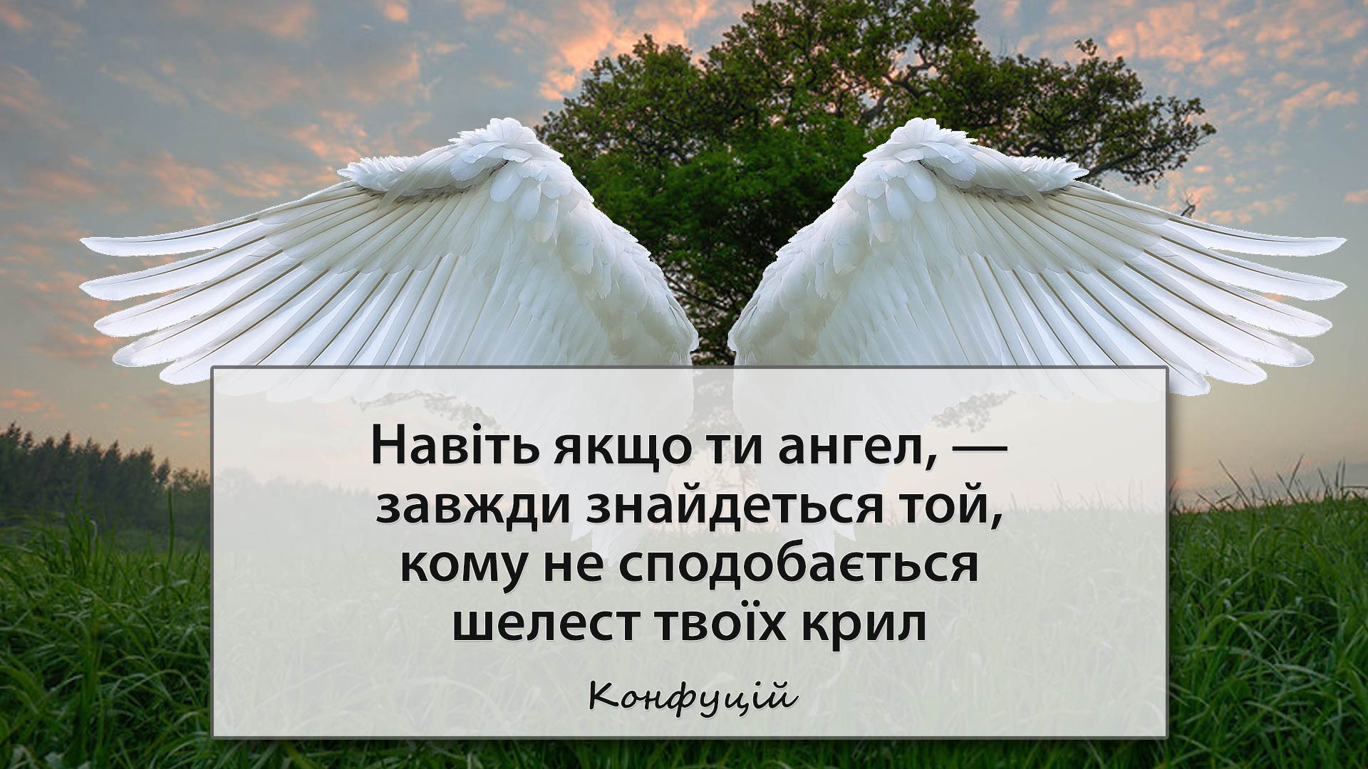 Навіть якщо ти ангел, — завжди знайдеться той, кому не сподобається шелест твоїх крил -- Конфуцій